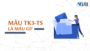 Mẫu TK3-TS là gì?