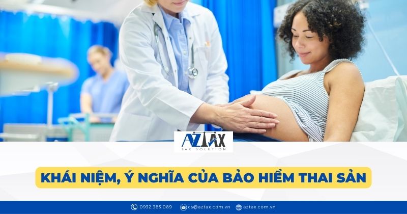 Thanh tra bảo hiểm thai sản, Khái niệm, ý nghĩa của bảo hiểm thai sản