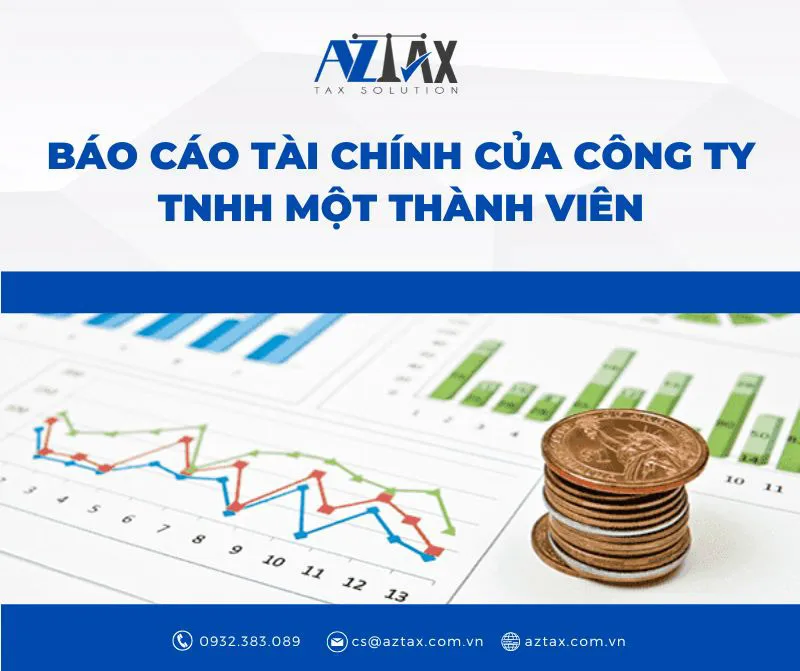 bao cao tai chinh cua cong ty tnhh 1 thanh vien
