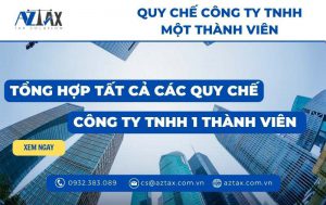 tong hop tat ca cac quy che cong ty tnhh 1 thanh vien