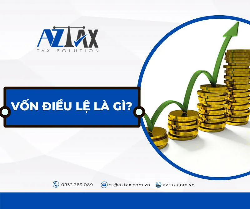 Vốn điều lệ Công ty TNHH 1 thành viên là gì?