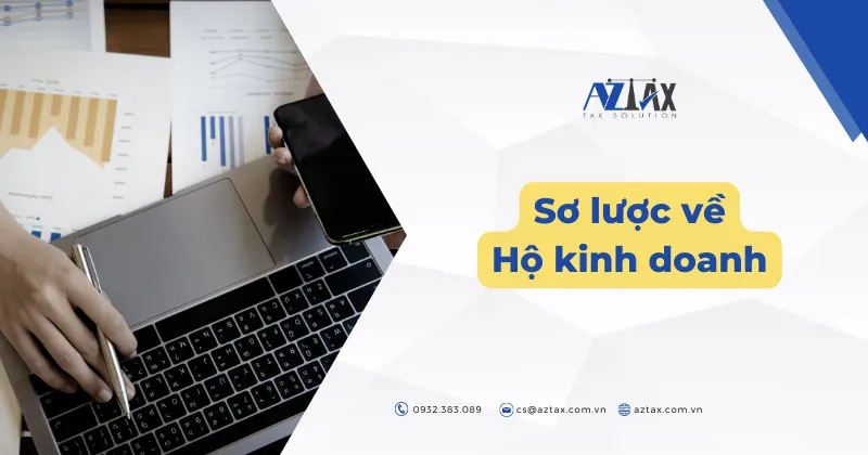 so luoc khai quat ve ho kinh doanh ca the 