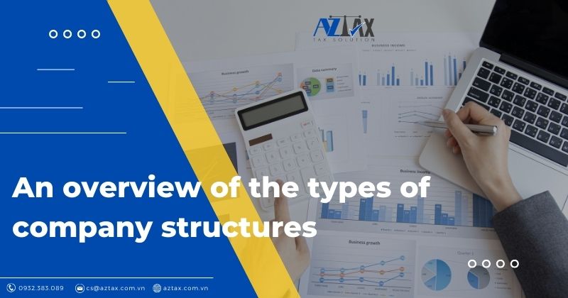 Types of company structures