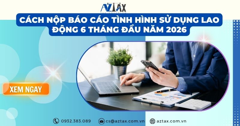 Cách nộp báo cáo tình hình sử dụng lao động 6 tháng đầu năm 2026