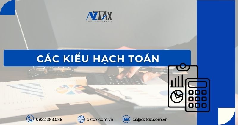 Các kiểu hạch toán