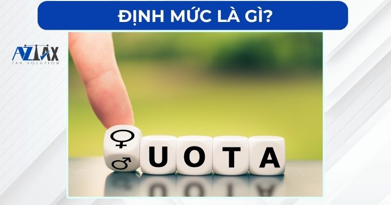 Định mức là gì?