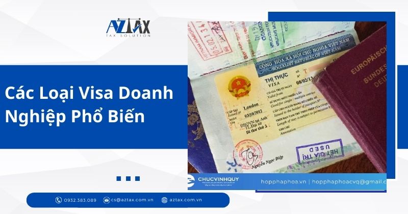 Các Loại Visa Doanh Nghiệp Phổ Biến