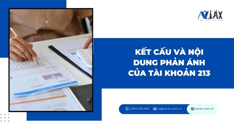 Kết cấu và nội dung phản ánh của Tài khoản 213