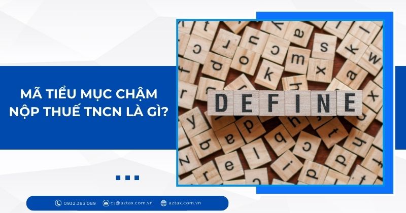 Mã tiểu mục chậm nộp thuế TNCN là gì?