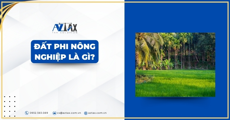 Đất phi nông nghiệp là gì?