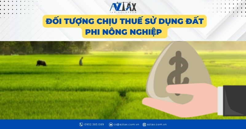 Đối tượng chịu thuế sử dụng đất phi nông nghiệp