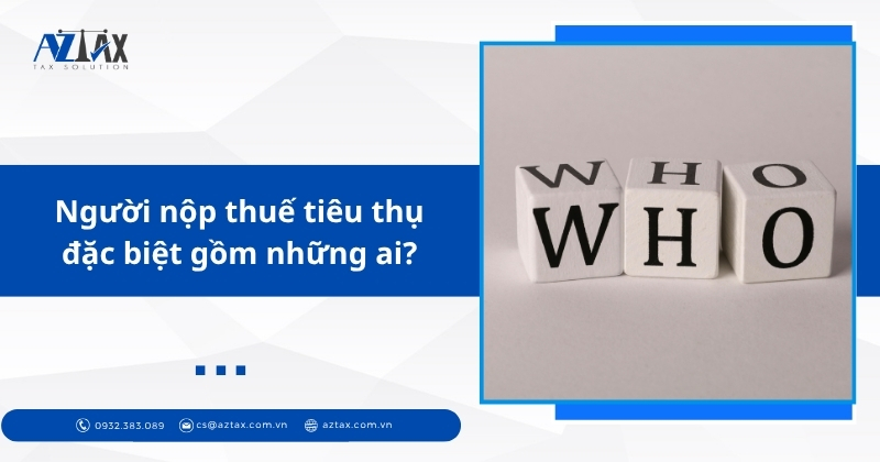 Người nộp thuế tiêu thụ đặc biệt gồm những ai?