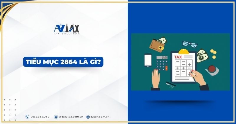Tiểu mục 2864 là gì?