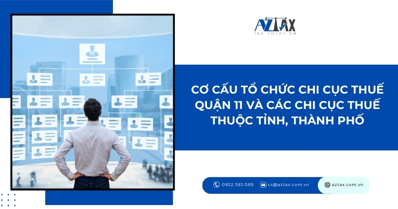 Cơ cấu tổ chức Chi cục Thuế Quận 11 và các Chi cục Thuế thuộc tỉnh, thành phố