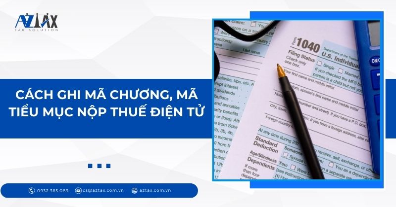 Cách ghi mã chương, mã tiểu mục nộp thuế điện tử