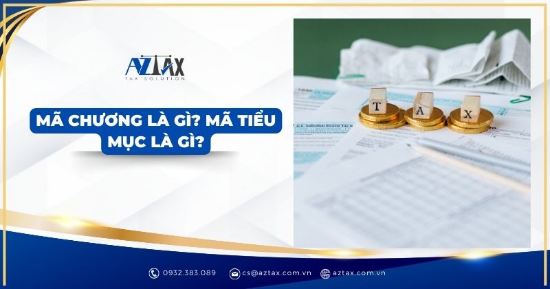 Mã chương là gì? Mã tiểu mục là gì?