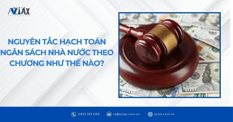 Nguyên tắc hạch toán ngân sách nhà nước theo Chương như thế nào?