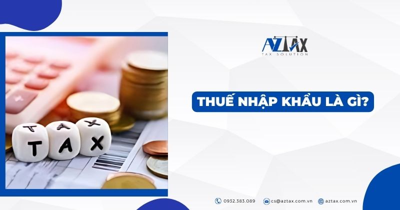 Thuế nhập khẩu là gì?