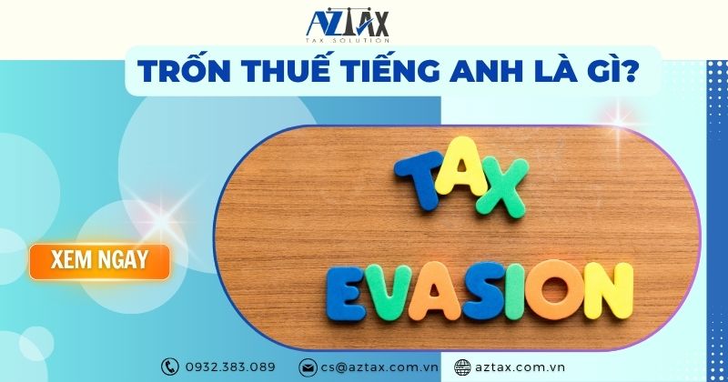 Trốn thuế tiếng anh là gì?