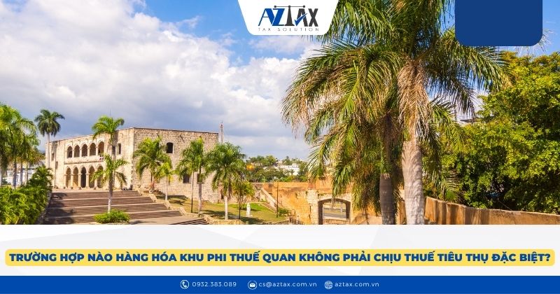 Trường hợp nào hàng hóa khu phi thuế quan không phải chịu thuế tiêu thụ đặc biệt?