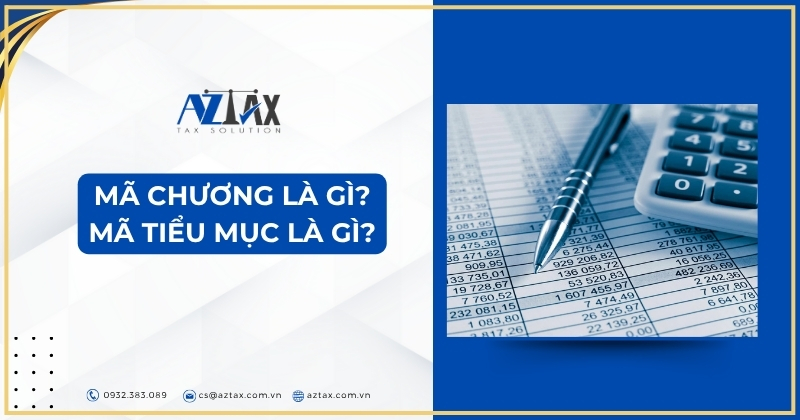 Mã chương là gì? Mã tiểu mục là gì?