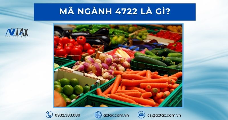 Mã ngành 4722 là gì?
