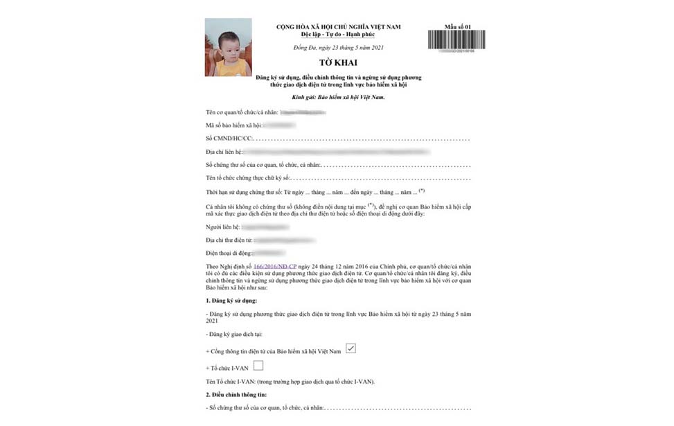 Chi tiết tờ khai đăng ký tài khoản giao dịch điện tử của con